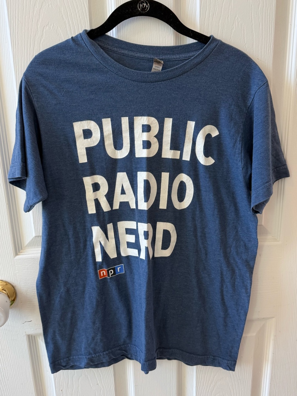 NPR Public Radio Nerd Short-Sleeve Tee - Blue